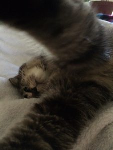 img_3410